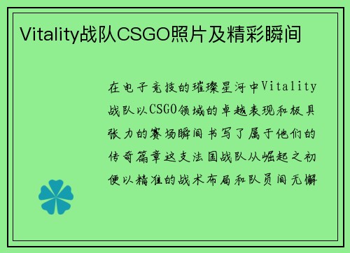 Vitality战队CSGO照片及精彩瞬间